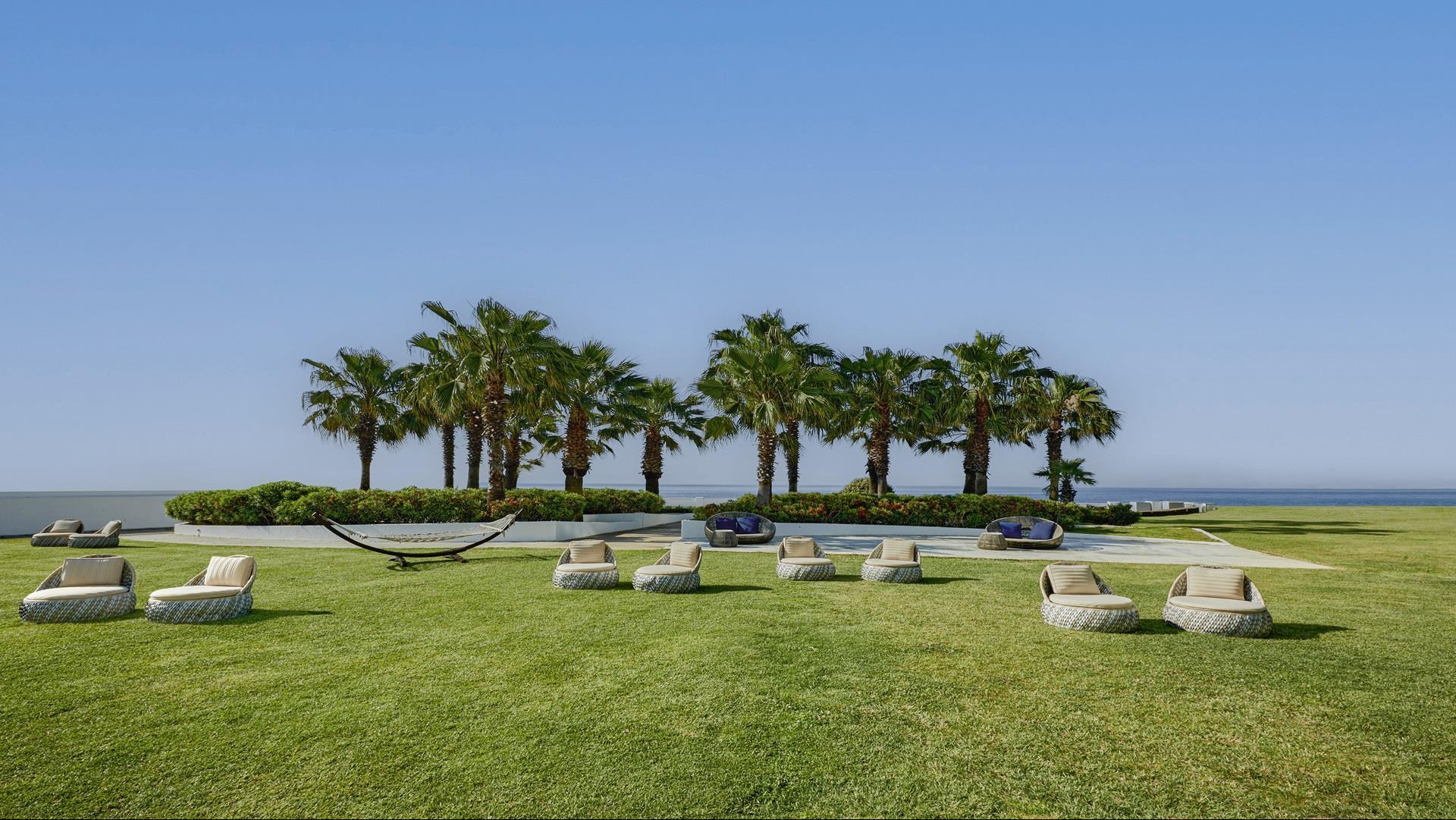 The Garden